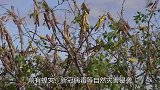 北极传来好消息！上空臭氧层关闭，地球是不是有救了？