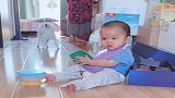 玩具狗和真狗吵架，一岁的儿子都看愣了，是不是要劝架？