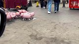 二师兄拉着猪崽在街上贩卖，二师兄的日子也不好过啊