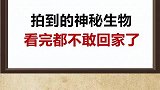 你知道这是什么生物吗？