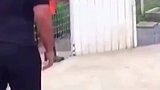 狮子与多年未见的主人重聚感人瞬间