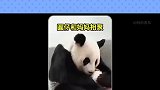 圆圆妈妈和圆仔的第一次相见
