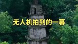 无人机拍到神奇的一幕，一棵参天大树竟然长在古塔顶上，共生共死100多年