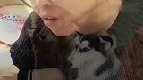 上一秒主人说不愿意吃蛋黄，下一秒扎心了，委屈的眼神太逗了！