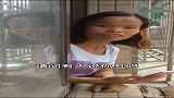 丑怎么了，只要不照镜子，恶心的又不是自己