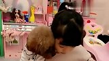 养狗千万不要养泰迪，眼前这一幕，就是活生生的案例啊！