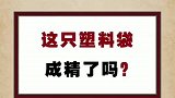 塑料袋竟然成精了？