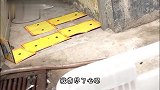 论体重的重要性，这么大的台风也刮不走你，以后千万别减肥了