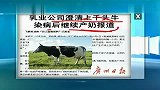 乳业公司澄清上千头牛染病后继续产奶报道