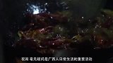 广西人最爱吃的烤生蚝，口感爽滑鲜嫩多汁，味道一绝
