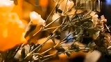 一壶陈皮茶，遇见更好的自己