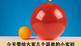 有趣小实验