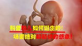 胎儿是怎么形成的？绝对颠覆你的想象！看完不敢生孩子了。