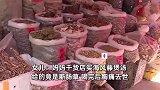 店主误把断肠草当海风藤售卖，老人饮用后中毒去世，8女儿崩溃唱“世上只有妈妈好”