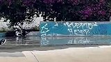大家不要轻易在陌生的水域玩水，还好我按了暂停