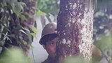 对越战争片《雷场相思树》，八一厂摄制，祖国领土神圣不容侵犯！