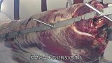 只听过烤全羊？老外路边需要上千斤烤全牛，网友：默默艾特康师傅
