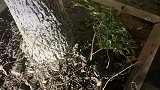 男子夜晚偶然路过街边亭子