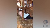 宝宝在客厅呼救，赶紧走进一看，爸妈都笑傻了