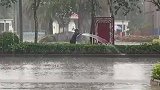 网友偶遇环卫工雨天给绿化带浇水，雨：我白下了