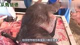 印尼人吃野猪，一次买上个野猪腿，出锅后软烂入味口水直流！