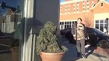 男子在街边伪装成植物恶搞路人，真的是太贱了
