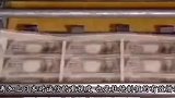 日本造假下场太吓人