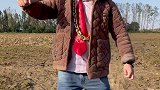 河南方言庄稼活，我干的快，都别跟我挣啊……