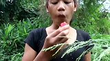 黄花菜真是宝，补气又补脑，鲜香美味表妹最爱吃