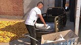 小溪犬舍发现新型病毒，主人马上采取安全措施，这样能阻止吗？