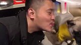 巴哥：主人，有个人要亲我！