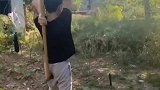 听说过小刀拉屁股，斧头砍屁股还真没见过