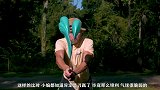 被水刀击中的水球爆炸瞬间！放慢1000倍后，画面真绝了！