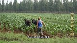 拖欠农民工工资，农民工会面临什么样的处境，听完都会于心不忍！