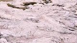 岩缝掏宝，大有检漏，运气不错