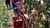 劳动人民的智慧，玉米收割机事半功倍