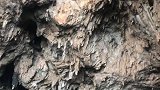 燕子洞亚洲第一溶洞