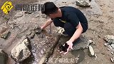 小伙赶海偶遇海浪冲上来的4米“大货”！喜滋滋的扛回家留着备用