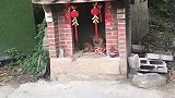狗狗坐在土地庙内，过路村民纷纷看傻眼