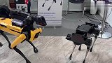 机器狗“大战”，中国机器狗PK外国机器狗，差距太大不得不服