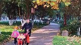 衡阳平湖公园小景-冬日秋韵，诗情画意