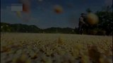 龙宫村依山傍水，青山峡谷间藏有18眼清泉，完全就是人间仙境