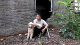 百年老宅晚上传出人的说话声，金毛进去发现条床单，莫非有人住？