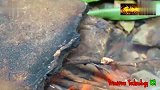 荒野美食,小男孩在野外煮怪鱼吃,你知道他们吃的什么鱼吗