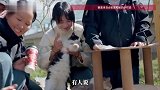 每年“蹭”近百场婚宴，收养126只流浪猫狗的女孩回应网友质疑