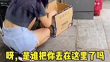 我也是有狗狗的人了️