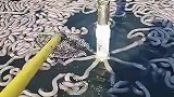 雪糕原来是这样生产出来的