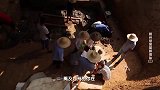 一座墓春秋中期墓葬，不但能看到周朝历史，还能看到华夏文明历史