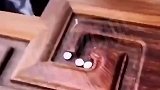 男子捏碎壁虎蛋结果壁虎直接跑了，壁虎：很好，这个家就是我的了