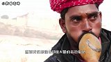 眼镜蛇为何不咬印度人？难道他们开挂了，看完恍然大悟